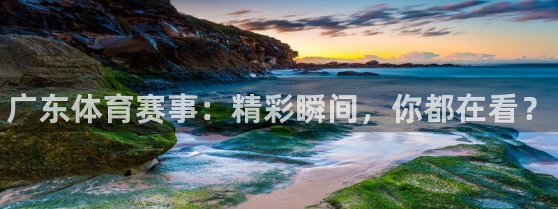 nba直播小九直播：广东体育赛事：精彩瞬间，你都在看？