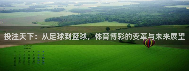 小九直播nba乐悠：投注天下：从足球到篮球，体育博彩的变革与未来展望