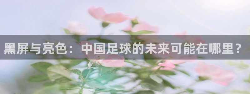nba小九直播在线观看：黑屏与亮色：中国足球的未来可能在哪里？
