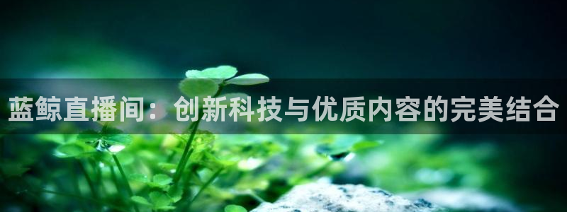 小九直播nba免费观看：蓝鲸直播间：创新科技与优质内容的完美结合