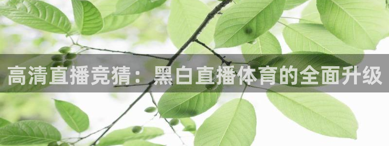 小九直播体育免费观看：高清直播竞猜：黑白直播体育的全面升级