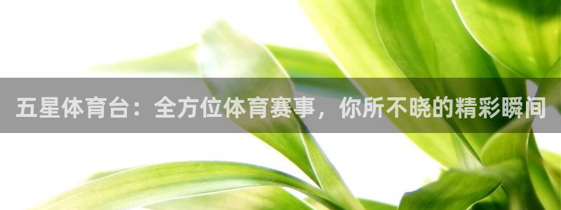 足球直播小九直播：五星体育台：全方位体育赛事，你所不晓的精彩瞬间