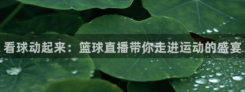 小九直播免费体育直播：看球动起来：篮球直播带你走进运动的盛宴